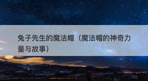 兔子先生的魔法帽（魔法帽的神奇力量与故事）-图1