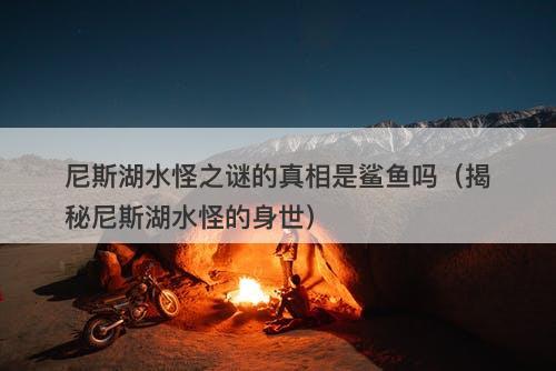 尼斯湖水怪之谜的真相是鲨鱼吗（揭秘尼斯湖水怪的身世）-图1