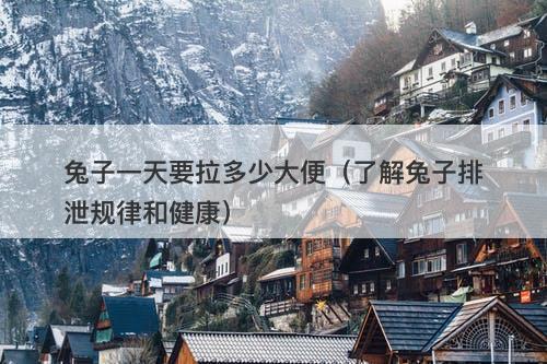 兔子一天要拉多少大便（了解兔子排泄规律和健康）-图1