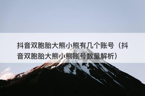 抖音双胞胎大熊小熊有几个账号（抖音双胞胎大熊小熊账号数量解析）-图1