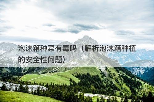 泡沫箱种菜有毒吗（解析泡沫箱种植的安全性问题）