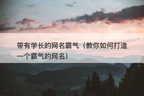 带有学长的网名霸气（教你如何打造一个霸气的网名）-图1