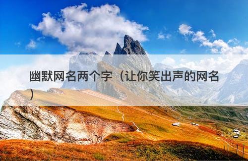 幽默网名两个字（让你笑出声的网名）-图1