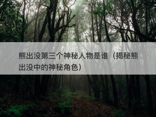 熊出没第三个神秘人物是谁（揭秘熊出没中的神秘角色）