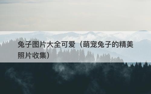 兔子图片大全可爱（萌宠兔子的精美照片收集）