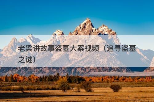 老梁讲故事盗墓大案视频（追寻盗墓之谜）-图1