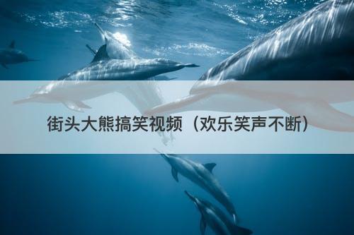 街头大熊搞笑视频（欢乐笑声不断）