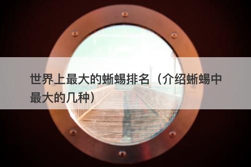 世界上最大的蜥蜴排名（介绍蜥蜴中最大的几种）-图1