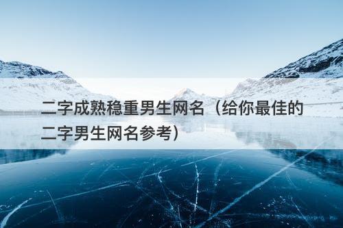 二字成熟稳重男生网名（给你最佳的二字男生网名参考）-图1