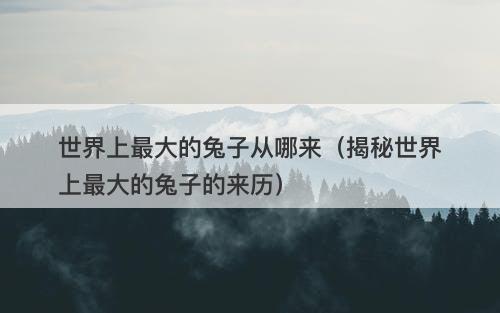 世界上最大的兔子从哪来(揭秘世界上最大的兔子的来历)-图1 世界上最大的兔子从哪来(揭秘世界上最大的兔子的来历)-图1