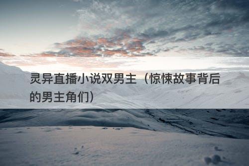 灵异直播小说双男主（惊悚故事背后的男主角们）