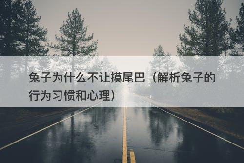 兔子为什么不让摸尾巴（解析兔子的行为习惯和心理）
