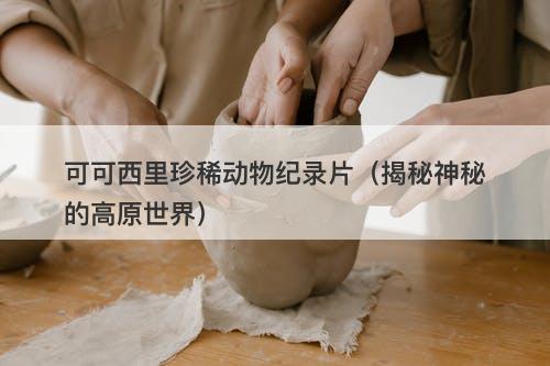 可可西里珍稀动物纪录片（揭秘神秘的高原世界）