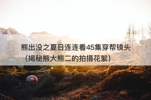 熊出没之夏日连连看45集穿帮镜头（揭秘熊大熊二的拍摄花絮）