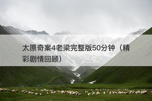 太原奇案4老梁完整版50分钟（精彩剧情回顾）-图1