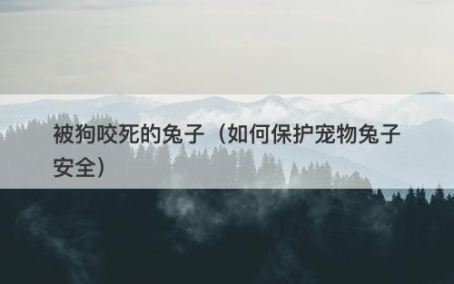 被狗咬死的兔子（如何保护宠物兔子安全）