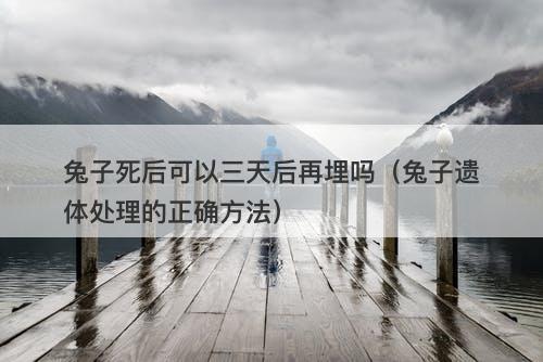 兔子死后可以三天后再埋吗（兔子遗体处理的正确方法）