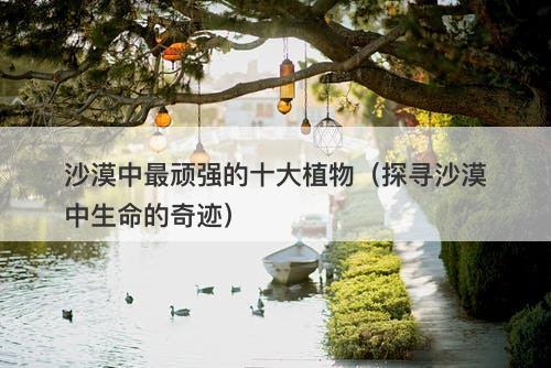 沙漠中最顽强的十大植物（探寻沙漠中生命的奇迹）