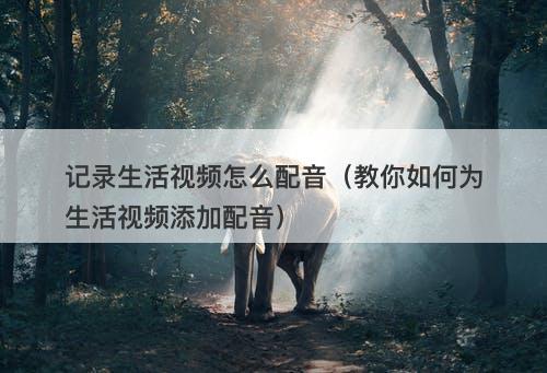 记录生活视频怎么配音（教你如何为生活视频添加配音）