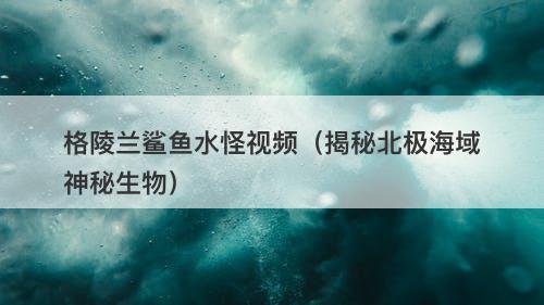 格陵兰鲨鱼水怪视频（揭秘北极海域神秘生物）