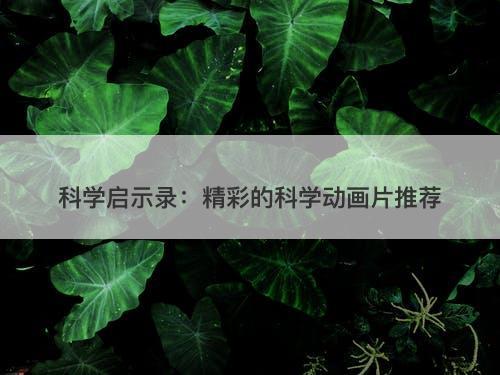 科学启示录：精彩的科学动画片推荐