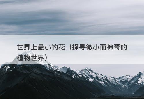 世界上最小的花（探寻微小而神奇的植物世界）