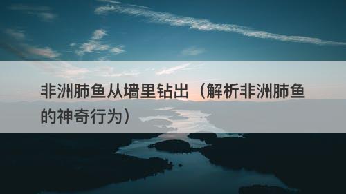 非洲肺鱼从墙里钻出（解析非洲肺鱼的神奇行为）-图1