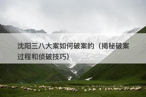 沈阳三八大案如何破案的（揭秘破案过程和侦破技巧）-图1