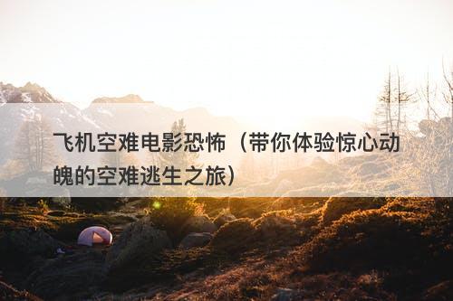 飞机空难电影恐怖（带你体验惊心动魄的空难逃生之旅）-图1