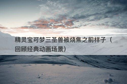 精灵宝可梦三圣兽被烧焦之前样子(回顾经典动画场景)-图1 精灵宝可梦三圣兽被烧焦之前样子(回顾经典动画场景)-图1