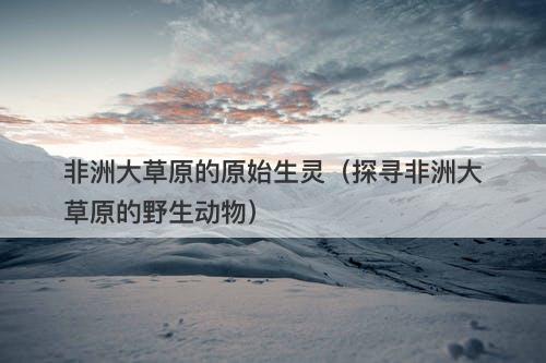 非洲大草原的原始生灵（探寻非洲大草原的野生动物）