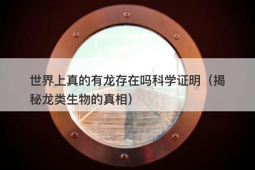 世界上真的有龙存在吗科学证明（揭秘龙类生物的真相）