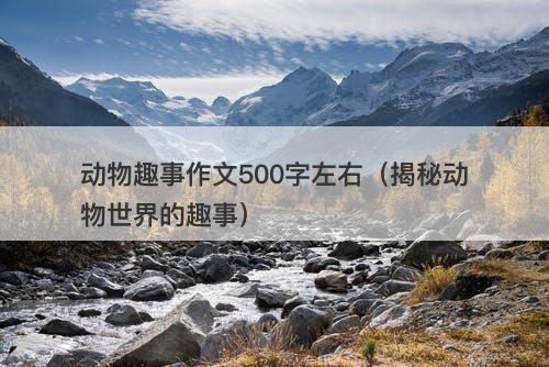 动物趣事作文500字左右（揭秘动物世界的趣事）-图1