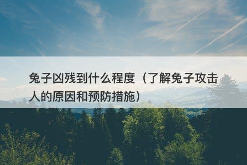 兔子凶残到什么程度（了解兔子攻击人的原因和预防措施）