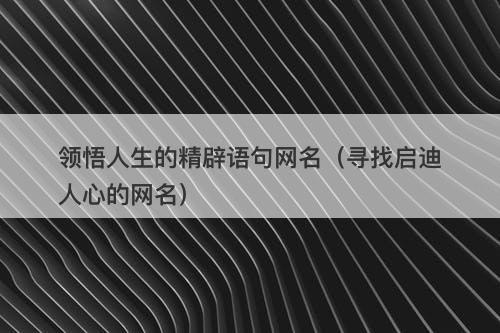 领悟人生的精辟语句网名（寻找启迪人心的网名）