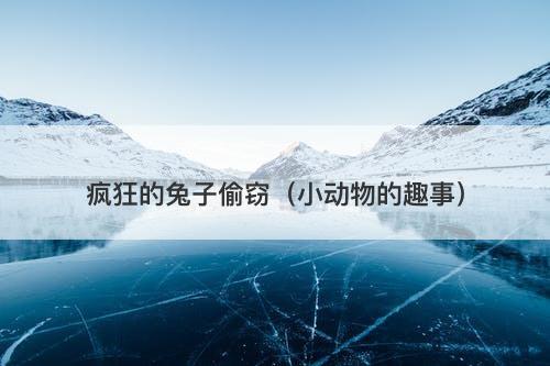 疯狂的兔子偷窃（小动物的趣事）-图1