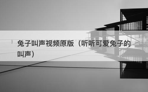 兔子叫声视频原版（听听可爱兔子的叫声）