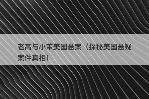 老高与小茉美国悬案（探秘美国悬疑案件真相）
