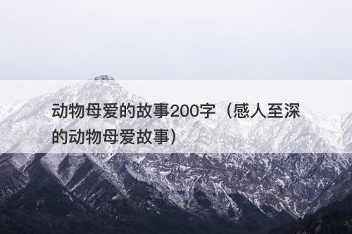 动物母爱的故事200字（感人至深的动物母爱故事）