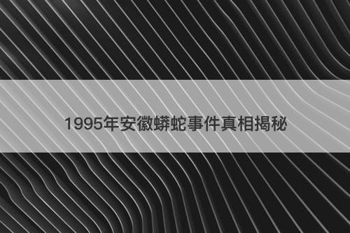 1995年安徽蟒蛇事件真相揭秘