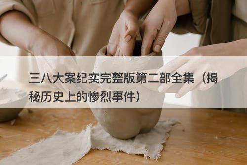 三八大案纪实完整版第二部全集(揭秘历史上的惨烈事件)-图1 三八大案纪实完整版第二部全集(揭秘历史上的惨烈事件)-图1