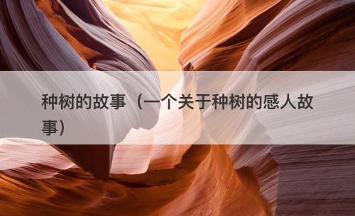 种树的故事（一个关于种树的感人故事）