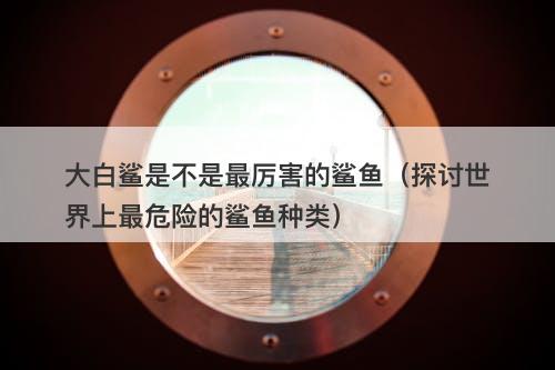 大白鲨是不是最厉害的鲨鱼（探讨世界上最危险的鲨鱼种类）