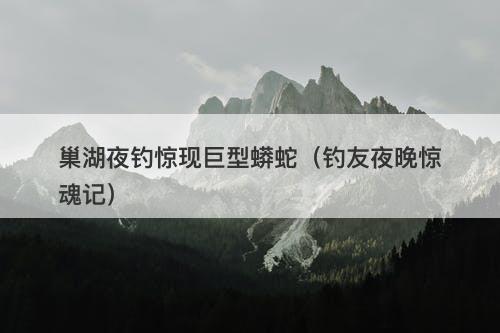 巢湖夜钓惊现巨型蟒蛇（钓友夜晚惊魂记）