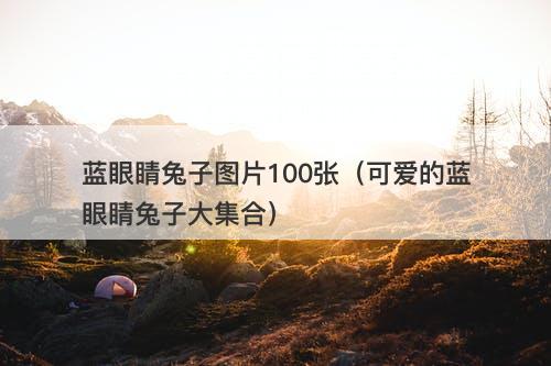 蓝眼睛兔子图片100张（可爱的蓝眼睛兔子大集合）