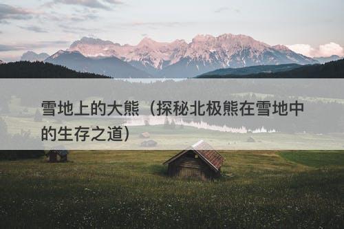 雪地上的大熊（探秘北极熊在雪地中的生存之道）