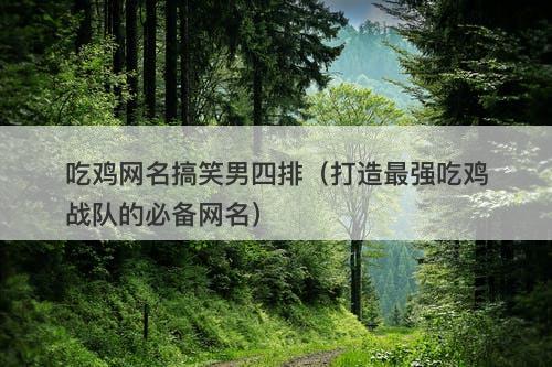 吃鸡网名搞笑男四排（打造最强吃鸡战队的必备网名）
