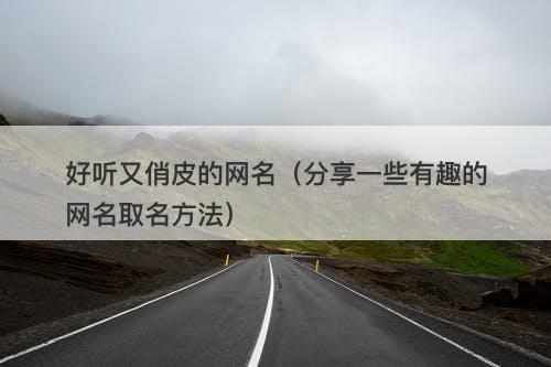 好听又俏皮的网名（分享一些有趣的网名取名方法）-图1