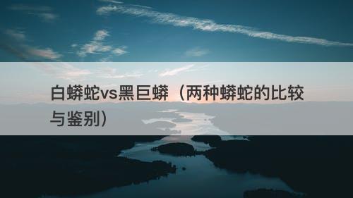白蟒蛇vs黑巨蟒（两种蟒蛇的比较与鉴别）