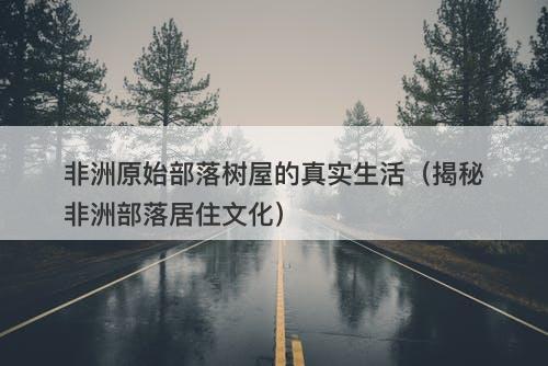 非洲原始部落树屋的真实生活（揭秘非洲部落居住文化）